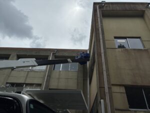緊急要請！“スズメバチ🐝から子供を守れ“